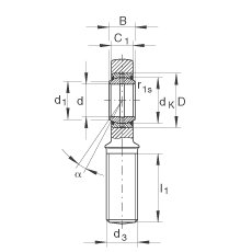 桿端軸承 GAR17-DO, 根據(jù) DIN ISO 12 240-4 標準，帶右旋外螺紋，需維護
