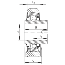 直立式軸承座單元 RASEL20-N, 鑄鐵軸承座，浮動(dòng)軸承，內(nèi)圈有驅(qū)動(dòng)槽，R 型密封